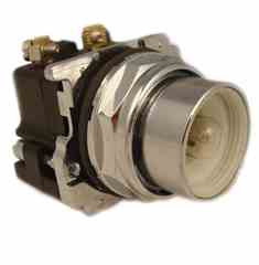 Eaton 10250T463 30mm Push Turkey