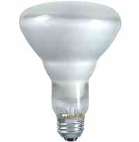 Philips Lighting 60BR30 / HAL / FL 60BR30/HAL/FL 60 Watt Bulb Halogená BR30 Turkey
