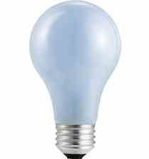 Philips Lighting 60A / NTL 60A/NTL 60 Watt Bulb A19 Natural Light Incandescent Turkey
