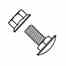 Cooper B-line SNCB38X34 Cooper B-Line  Square Neck Carriage Bolt