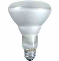 Philips Lighting 60BR30 / HAL / SP / 120V 60BR30/HAL/SP/120V 60 Watt Bulb Halogená Indoor Flood BR30 Turkey