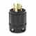 Leviton 2711-B Ent Blk L14
