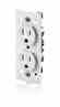 Leviton 7000-C0E Chth 15a Duplex Recept