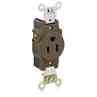 Leviton 5261 15 Amp Single Receptacle