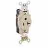 Leviton 5361-I Single Receptacle