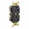 Leviton 5362-E Duplex Receptacle