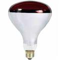 Philips Lighting 250R40 / HR 4 / 1 250R40/HR 4/1 Incandescent Heat Lamp