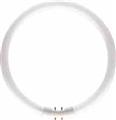 Philips Lighting TL5C 22W / 830 TL5C 22W/830  22 Watt T5 Circular 3000K CFL