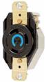 Hubbell-kellems HBL2620 Hubbell-Kellems  Locking Single Receptacle