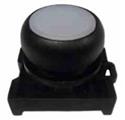 Eaton M22S-DL-W Flush Pushbutton