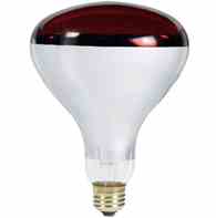 Philips Lighting 250R40 / HR 4 / 1 250R40/HR 4/1 Incandescent Heat Lamp Turkiye