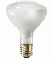 Philips Lighting 300R / 3FL 300R/3FL 300 Watt R40 Reflector Flood Lamp Turkiye