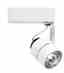 Juno Lighting R701BL Track Head Turkiye