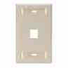Leviton 42080-1IS Wallplate