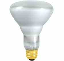 Philips Lighting 65BR40 / FL 12 / 1 PRO 65BR40/FL 12/1 PRO Incandescent Reflector Lamp