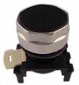 Eaton E22P1 Flush Pushbutton