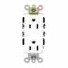 Leviton 16242-W 15 Amp Duplex Receptacle