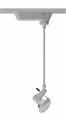 Juno Lighting TP216SL Jno Tp216sl Delta 200 12v Pendant M